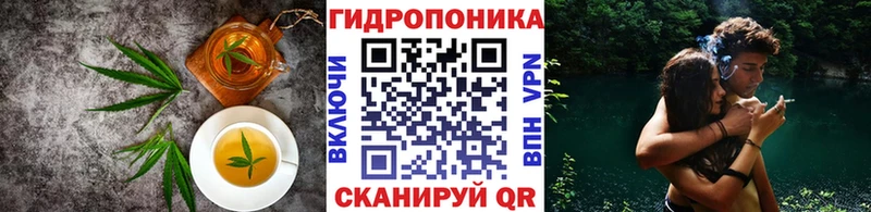 что такое наркотик  Ачхой-Мартан  hydra онион  Cannafood конопля 