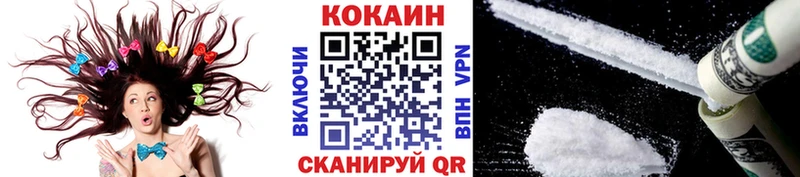 где продают наркотики  Ачхой-Мартан  Кокаин FishScale 